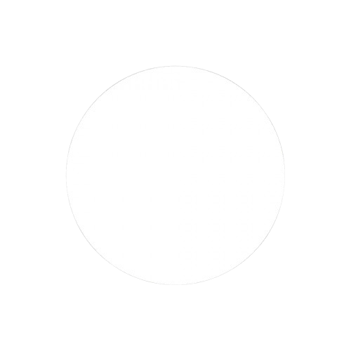 List item icon